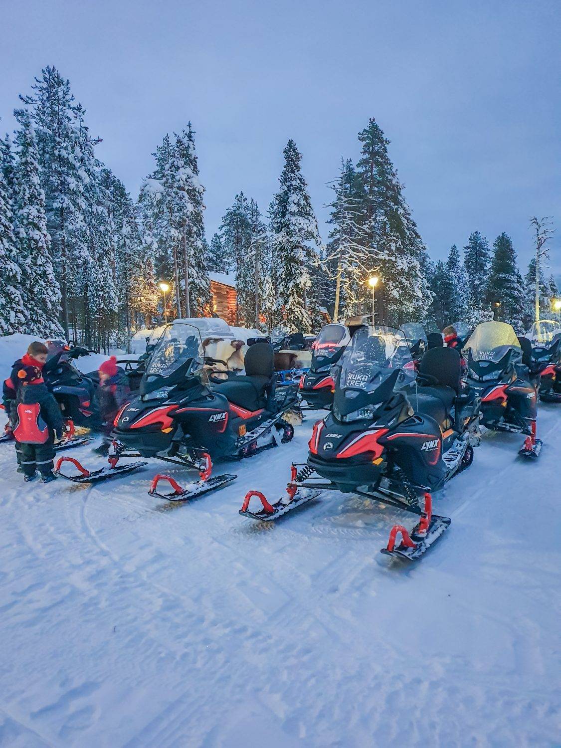 Nuestras motos de nieve